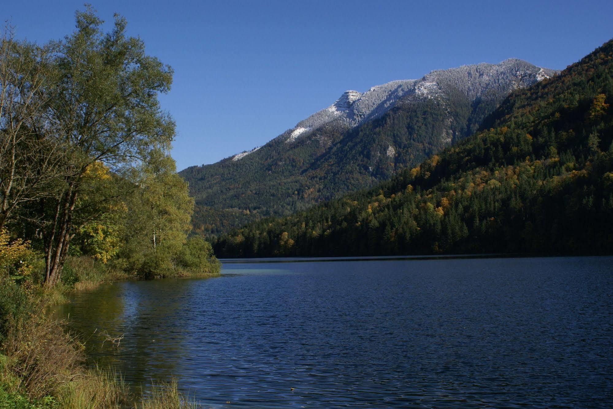 Landhotel Zellerhof Lunz am See Dış mekan fotoğraf